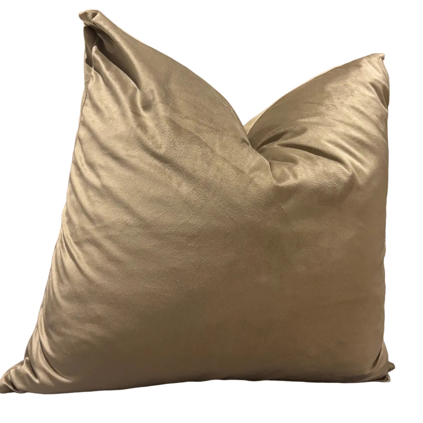 Beige neutral colour scatter cusion